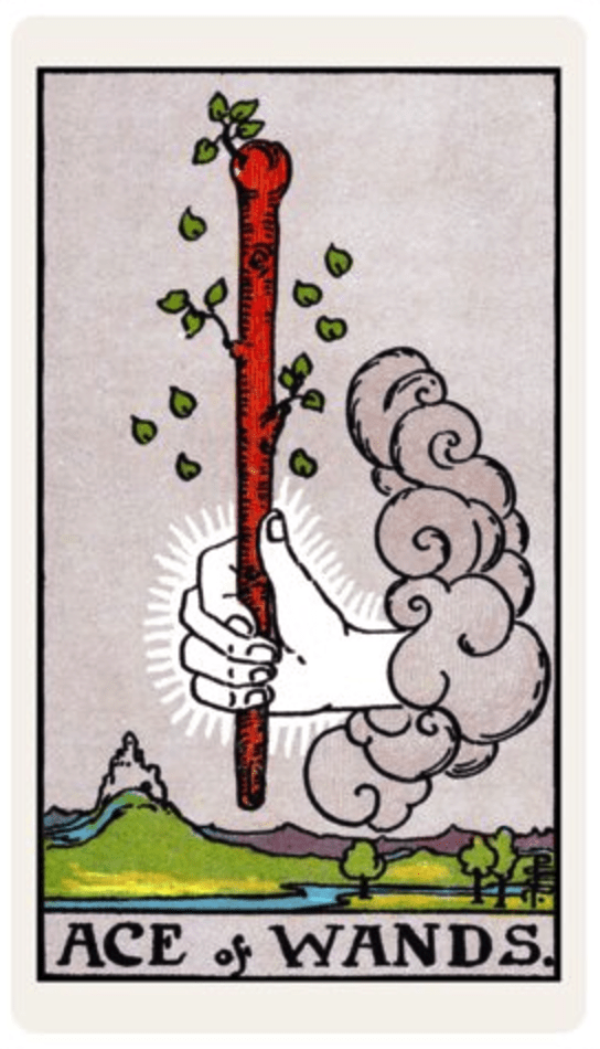 Ace of Wands: The Card as a Person